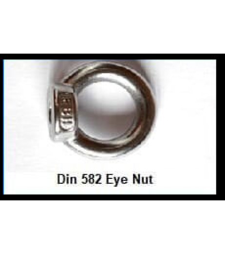 Din 582 Eye nut