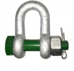 Safety Bolt Alloy Dee Shackle